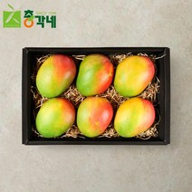 [총각네] 명품 애플망고 선물세트 3kg 6과, 단품