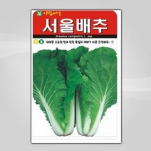 슬로시 슬로시 김장 채소 씨앗 무 배추 당근 씨 종자, 서울배추20g(아람)