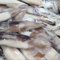 생오징어 손질 생물오징어2kg, 2kg