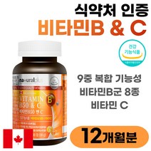 약 12개월분 비타민 영양제 고함량 비타민B 비타민C 9중 복합 기능성 complex 50대 40대 울트라 메가 활성 활력 비타민비 비타민씨 VITA MIN 1년치 대용량 골드