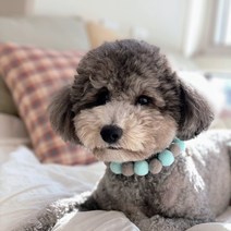 고양이 강아지 케이프 폼폼 꽃 목걸이 핸드메이드 악세사리 스카프 보타이 턱받이 목도리, 플라워, 4.퍼플화이트(플라워)