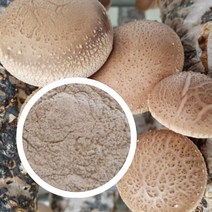 표고버섯 가루 건강 분말 선식 생식 아침 식사 대용 식 100g