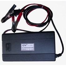 배터리 충전기 12V 농업용 차량 바이크 야시장 조명 경운기 자동 펄스 슬림 2208217116