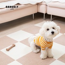 [익일출고] 강블리 반려동물 미끄럼방지 블링 펫 매트 10매, 베이지