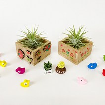 이오난사 우드 미니화분 만들기 - 1인세트, 스텐실 미니화분