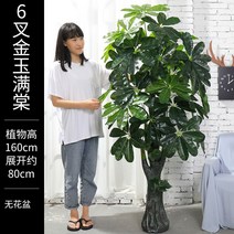 테라스꾸미기 조아트 벽면녹화 인조나무 플랜트월 조목 화분 선물, 160cm, U