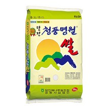 22년 햅쌀 당진해나루 청풍명월 쌀20kg 당일도정 당진시농협, 1개, 20kg