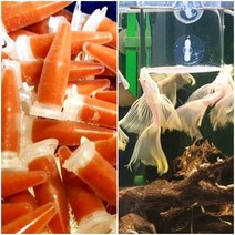 브라인쉬림프 튜브 80개1세트+중형급여통1개(브라인슈림프 부화 냉브 구피사료 열대어밥), 튜브1세트+중형급여통(파란색망-쉬림프 않빠짐)