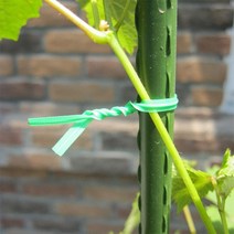 원예용 줄기 지지대 고정홀더 빵끈 타이 간편자르기 농사 토마토 고추 하우스