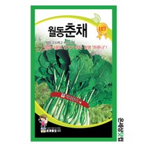 월동춘채 500g / 유채나물씨앗 하루나씨앗 유채나물씨, 1개