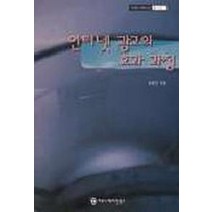 인터넷 광고의 효과 과정, 커뮤니케이션북스, 최환진