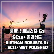 (커피생두) 63 베트남 로부스타 G1 500g, 1개