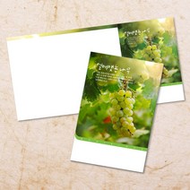교회주보 예배 주보용지 3단6면 주보지 안내지 전도지 절기 부활절 추수감사 맥추감사 성탄절 신년감사 디자인 기독교용품, EW-48