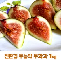 [국내산]무화과 친환경 무농약 홍무화과 500g2팩 인생무화과 햇무화과 생과 유기농, 500g2개=1kg