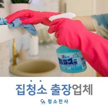 아파트출장청소 청소업체알바 파출업체 집일일도우미 집청소비용 8평 9평청소 야간청소 대청소 집청소도우미 아줌마 청소아르바이트 일일청소도우미 오피스텔 원룸 출장청소 좁은집 소형평수청소