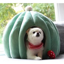 강아지 고양이 마약 동굴집 호박집 소프트 반려견 반려묘 애견 마약방석 쿠션집 하우스 숨숨집 민트그린