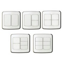 진흥전기 라피네 2개용 2구 3구 4구 5구 6구 스위치, 5구스위치