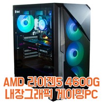 호스트컴 AMD 라이젠5 3세대 4600G 내장그래픽 사무용 게임용 롤 피파 서든어택 오버워치 조립 컴퓨터, 윈도우 미포함