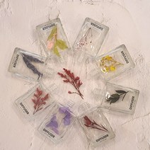 밍블랑 차량용 미니방향제 만들기 재료 DIY 세트 플라워 디퓨저 단체체험 키트, 블랙체리, 1개