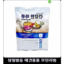 강아지잘먹는사료 코카스파니엘사료 강아지키우는법 강아지6개월 강아지살찌는사료 말티즈사료