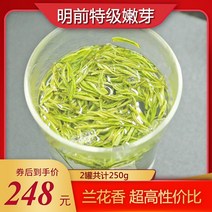 차이준 안길백차 현품 송도 안길백차 2020년 신차 정통 명전 특급차 고산녹차 250g 포장