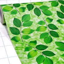 현대시트 카페 식당 포인트 벽 리폼 초록 그린 잎파리 시트지 2.5m, 01. 모닝그린 2.5m