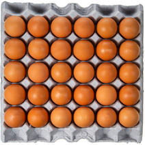 에그웰 무항생제 계란 HACCP인증 신선 특란 생계란, 30구