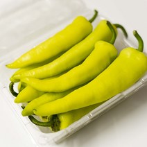 당조고추 국내산 아삭이 당고추 당일수확 1kg, 1개