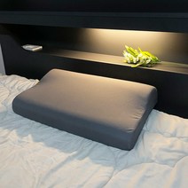 피칸데코 3D 메모리폼베개 커버포함 거북목 숙면베개, 단품