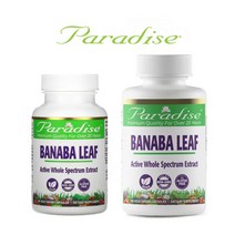 파라다이스 허브 바나바잎 추출물 코로솔산 바나바리프 파라다이땡 250mg 고약사 약들약, 60정 [특별할인 3+3]