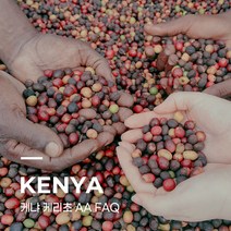 [생두] 케냐 케리초 AA FAQ 1kg