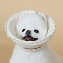 발을 핥는 강아지를 위한 교정 넥카라(M) 사계절용 쾌척한착용감 반려견넥카라 수술후