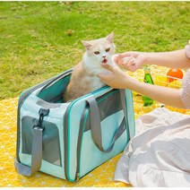 Neirny 강아지 접이식 이동가방 슬링백 크로스 기내용 고양이 이동장 캐리어 외출가방 애견 이동장 WCB6-Q, 민트