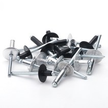 20-40pcs 알루미늄 대형 플랜지 팝 오픈 중공 블라인드 리벳 캡 리프 볼트 스포이드 셀프 플러그 장식 풀, 10 35mm_03 20Pcs (M5 White)