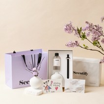 센티파이 미스김 라일락 오브제 디퓨저 200ml, 카네이션 에디션 듀오