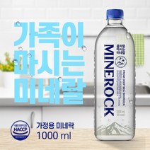물처럼 마시는 미네랄워터 미네락워터300 청정 암반수 필수미네랄 칼슘 마그네슘 칼륨 생수, 10병, 1000ml