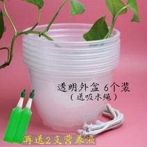 대형 플라스틱 화분 플라스틱화분 자동흡수 세트 녹라식물 물 안주기 원형비닐 투명저장대, 01 투명외분 6개(영양액 2개 증정), 오류 발생시 문의 ( 에이맨0102 )