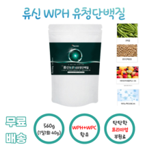 류신 WPH 유청단백질 560g 아미노액티브BCAA 비타민미네랄믹스 SA L로이신 완두단백분말 WPC 류신 구아검 HH 에이치에이치 수크랄로스 남녀노소 운동인 단백질분말 부담없는, 1봉