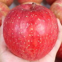 상큼달콤사과 가정용 사과 사과10kg 5kg, 부사사과 주먹 5kg