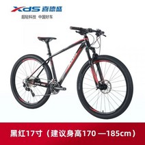 500 시마노 20단 마그네슘 합금 전문 레이싱 자전거 inch, B20단, 27.5인치