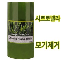 모기제거 퇴치시트로넬라 향초 캔들 아로마 양초 필라, 11.페퍼민트