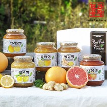 견과공장 수제과일청 달콤쌉싸름 자몽청 950g, 상세 설명 참조, 단일옵션