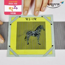 잔상효과 마술 액자 도구 10인 키트 실험관찰 과학실험교구 방과후수업 초등 초등과학키트 실험교구 실험실