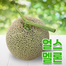 추석 과일 선물세트 [베리세상] 국내산 맛있는 얼스메론 8kg 3~4수, 단품없음