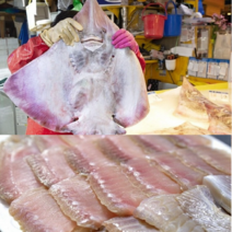 [인천산지직송] 국내산 대청도 홍어 200g x 2 개 중간삭힘, 400gx2(800g)