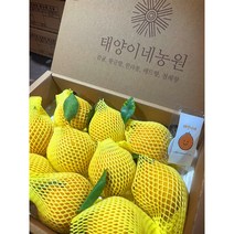 제주 한라봉 3kg 5kg 선물용 가정용 특산물 노지 하우스, [5kg] 혼합과 (15-25과))