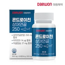 대원제약 콘드로이친 상어연골 250 900mg x 60정 2개월분