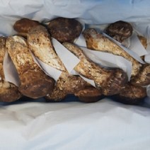 자연산송이버섯 송이버섯 백두산, 1박스, 2등급 가정용