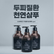 지루성 두피 각질 비듬 무실리콘 천연 약산성 임산부 단백질 향기 좋은 샴푸3개 추천, 3개