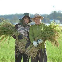 쌀맛나는농장 이천쌀 2022햅쌀5kg, 10k. 현미 22년산 고시히카리